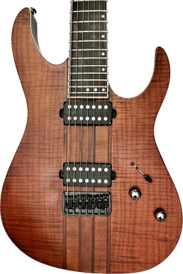 SCHECTER - BANSHEE ELITE 7 STRING 2